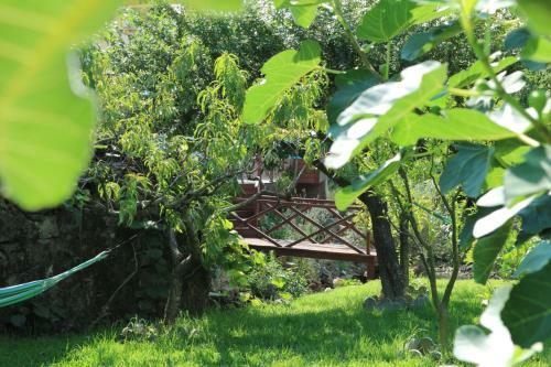 Casa Do Moinho