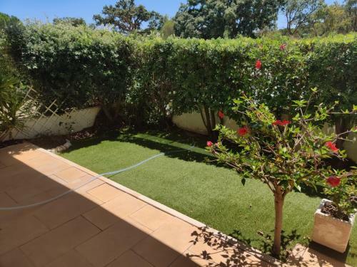 Apartamento Albufeira Monte Balaia