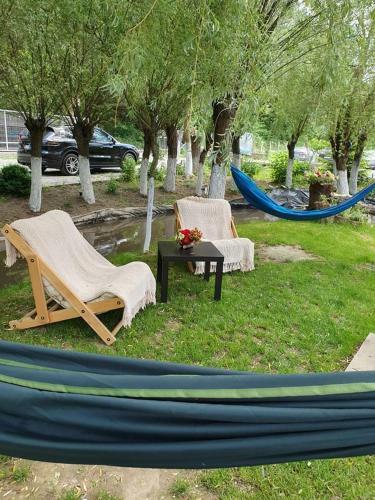 Hostal Pensiunea Turistica Valea Mierii