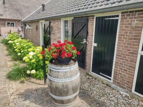 Bed & Breakfast Het Vlieghuisje