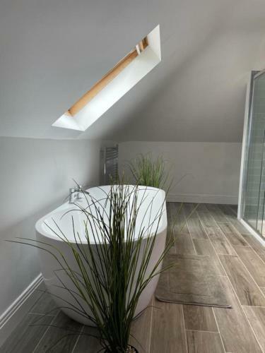Captivating 1-bed Apartment In Cloyne