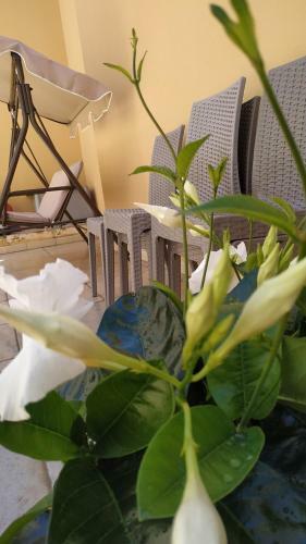 Bed & Breakfast Il Vicoletto
