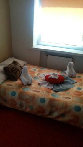 Hostal Eva Haus