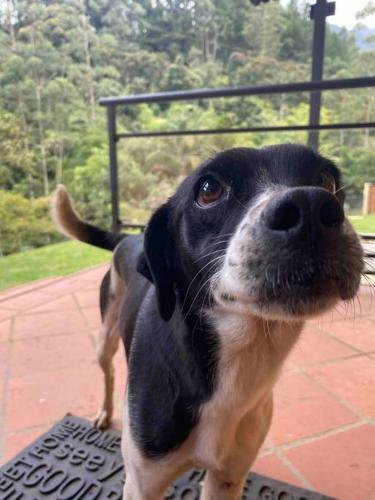 Villa La Caba�a de La Felicidad