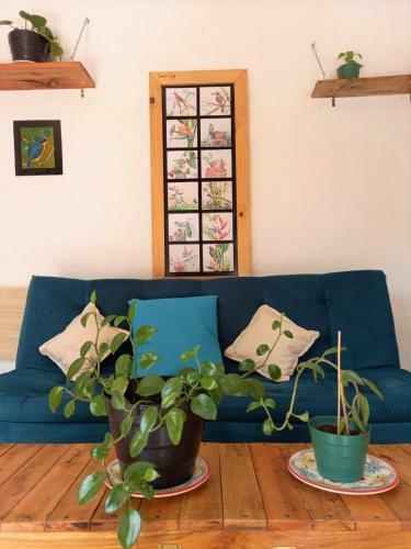 Apartamento Casa Passaro