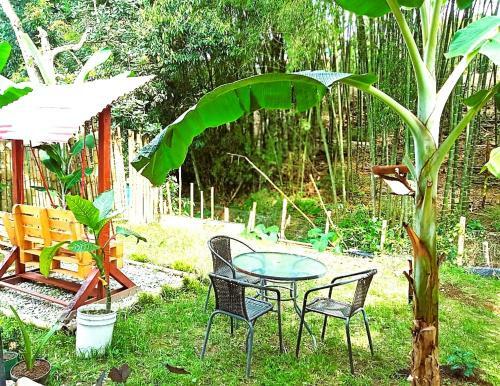 Apartamento Casa Passaro 2