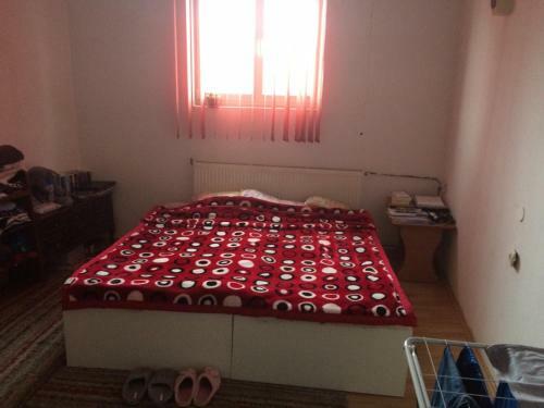 Bed & Breakfast Camera Cu Baie Si Curte-centru Istoric
