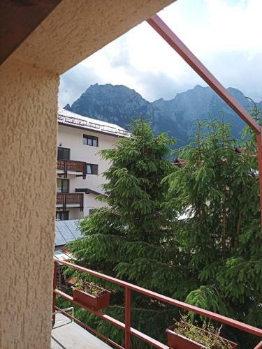 Hostal Casa Rodica Str. Clabucetului 28