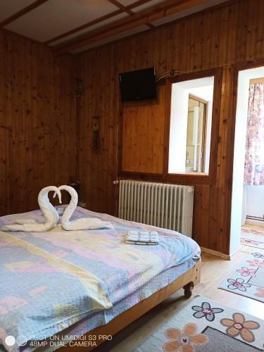 Hostal Casa Rodica Str. Clabucetului 28