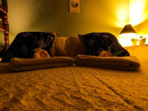 Albergue Amazonia Guest House