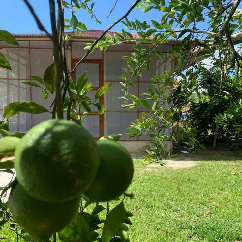 Bed & Breakfast Saraya Lodge & Camping