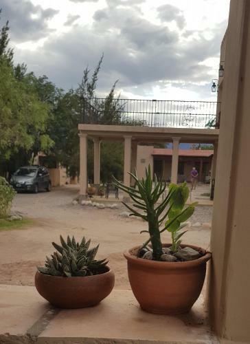 Bed & Breakfast Terraza Del Molle