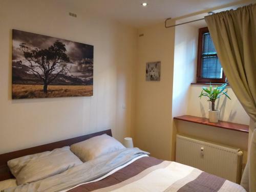 M10 Old Town Apartments Kosice