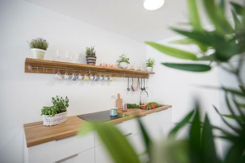 Family Apartment With Garden