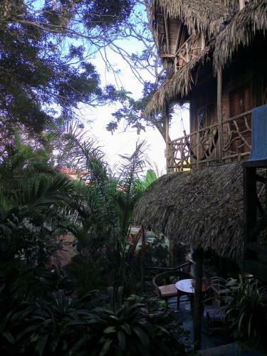 Hotel Nunkai Eco-hostal & Caf� Bosque