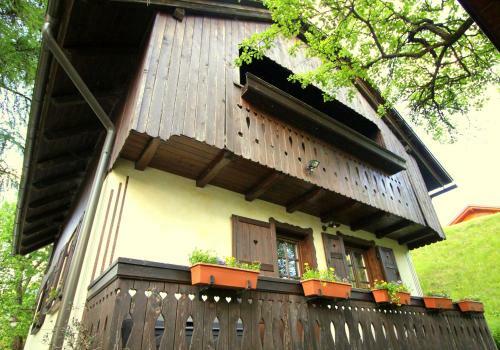 Apartments River Cottage Mojstrana