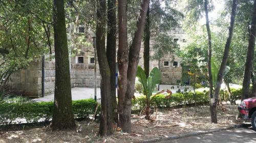 Ghion Hotel
