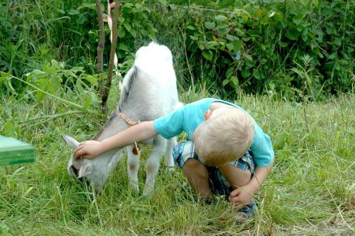 Agroturismo Wodne Ogrody