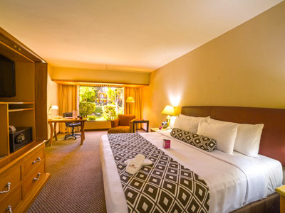 Hotel Holiday Inn Guadalajara Expo