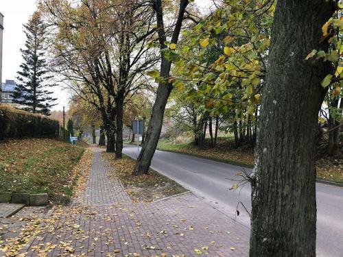 Apartament Per?a Kartuz Z Saun?