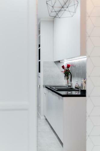 Crystal Apartment Katowice IV