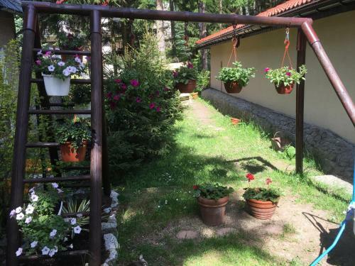 Apartamento Zimorodek