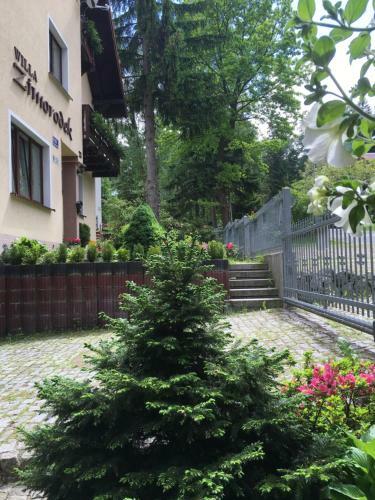 Apartamento Zimorodek