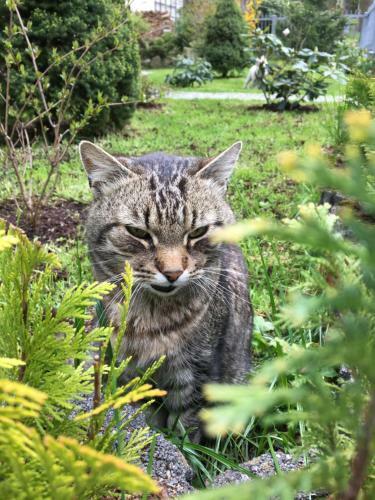 Apartamento Zimorodek