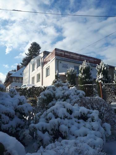 Apartament Kameralny