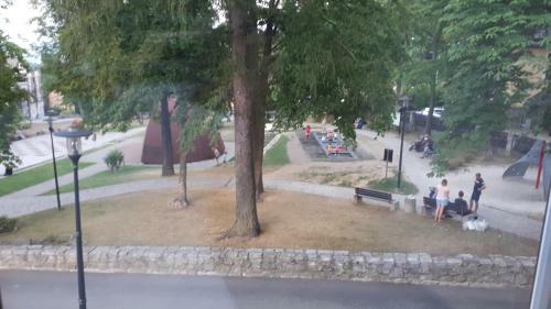 Apartament Friko