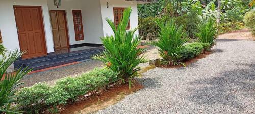Kuttickattil Gardens With Kitchen