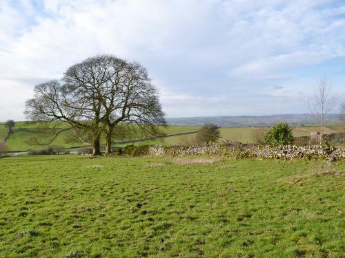 Whitehouse Farm