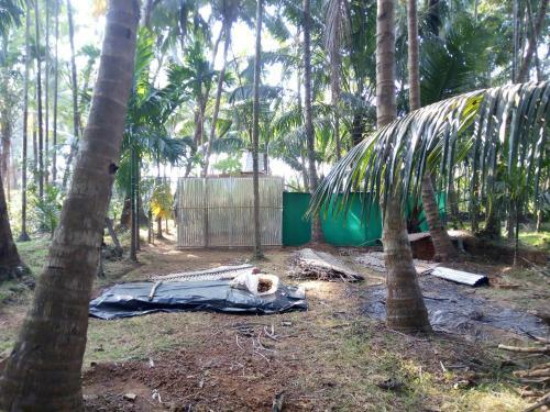 Mandrem Restzone 4bhk