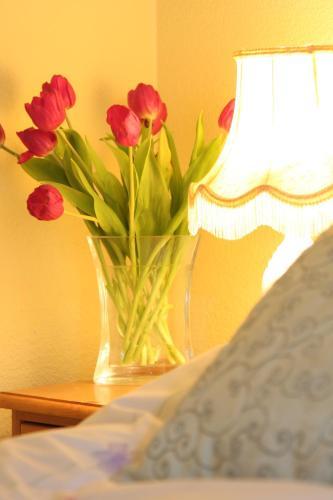 Hostal Arkleside Country Guest House
