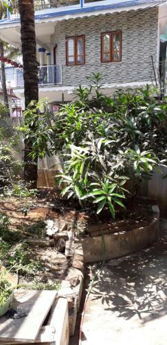 Spice Cottage Homestay