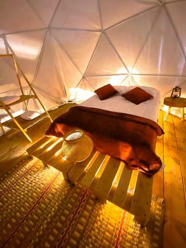 Glamping Boyac� San Pedro de La Paz