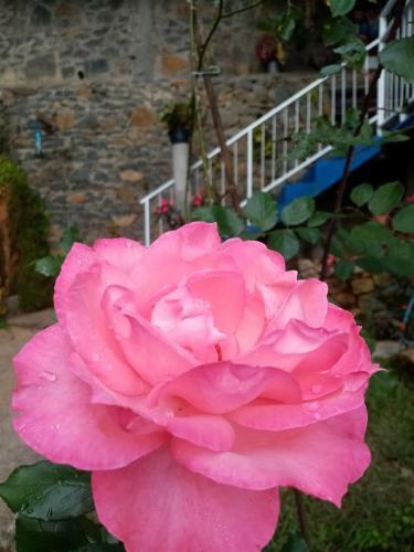 Bed & Breakfast Il Villino Haputale