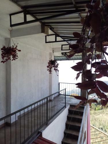 Bed & Breakfast Il Villino Haputale