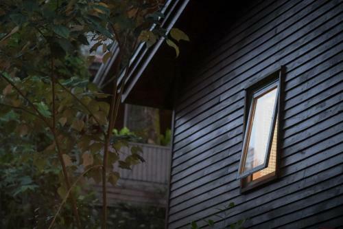 Chan Shuo The Pavilion Of Phoenix