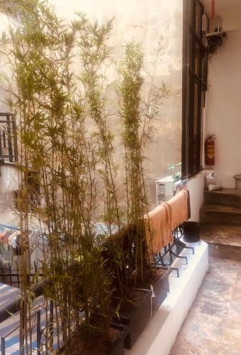 Hotel Aura Home 7