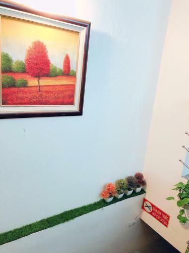 Aura Home 5