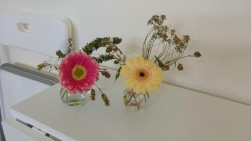 Bed & Breakfast Sleep At Hamtingh�s