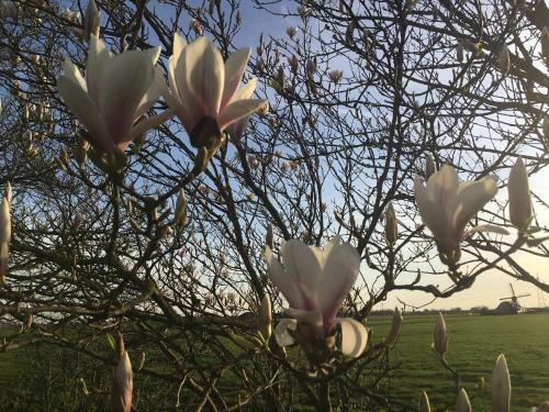 Groeten Uit Hoogmade - Rural Cottage