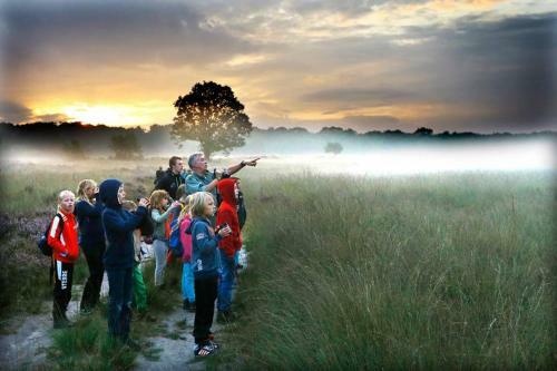 Heerlijke Accommodatie Op de Hoge Veluwe
