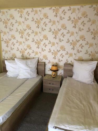 Albergue Pensiunea Mirela Pe?tera Ur?ilor