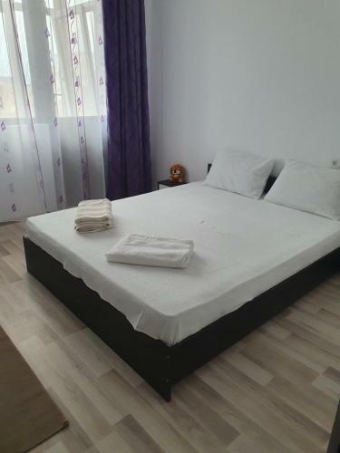 Apartament Iuliana