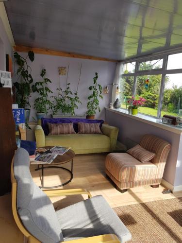 Hostal Morris Guest House