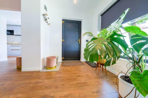 Designer Apartment In The City Center