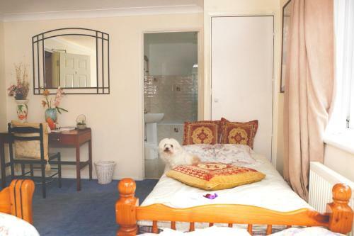 Hostal Da Vinci Guest House - Bed And Breakfast (Gatwick)