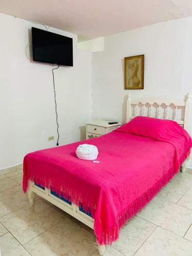Vivienda Tur�stica El Z�calo